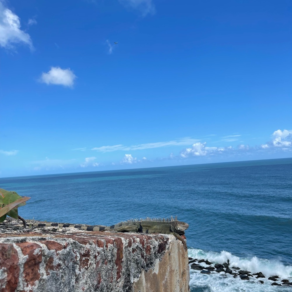 Meet your Posher, Luis